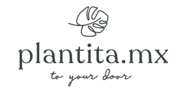 Plantita.mx